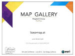 ESRI People´s Choice Award