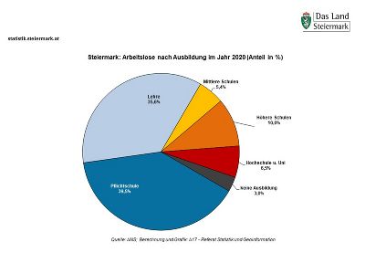 Steiermark: Arbeitslose nach Ausbildung im Jahr 2020 (in %)
